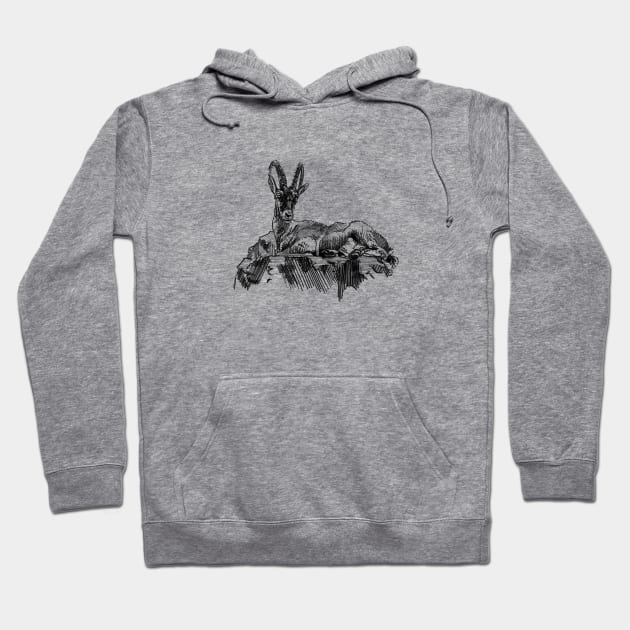 Ibex Ink Drfawing Hoodie by Fireside Press